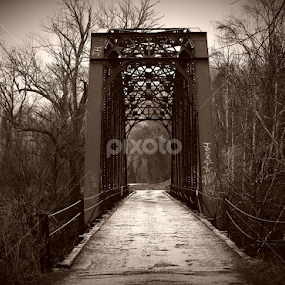 by Paul Mays - Uncategorized All Uncategorized