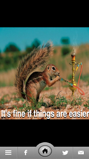 Free Download Tag Buddy APK