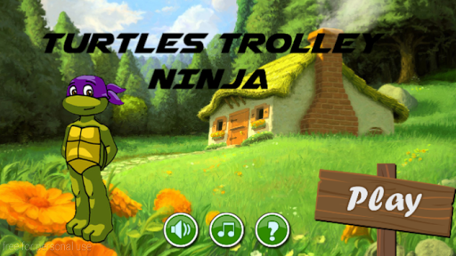 Turtles ninja trolley