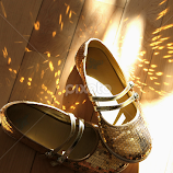 Fairy Dust Shoes by Leah Zisserson -  