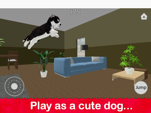 Dog Simulator