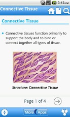 Human Body Anatomy (Preview)