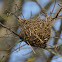 Bird's Nest