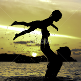 Flying High by Troy Wheatley -  