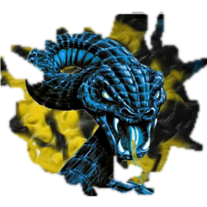 Inter Channel.apk 1.0