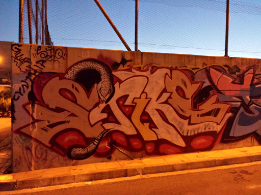 Snake Graffiti 