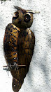 Smallest Church Owl Art