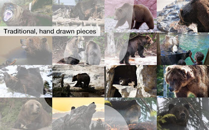 Grizzly Bear Jigsaws Demo poster 3