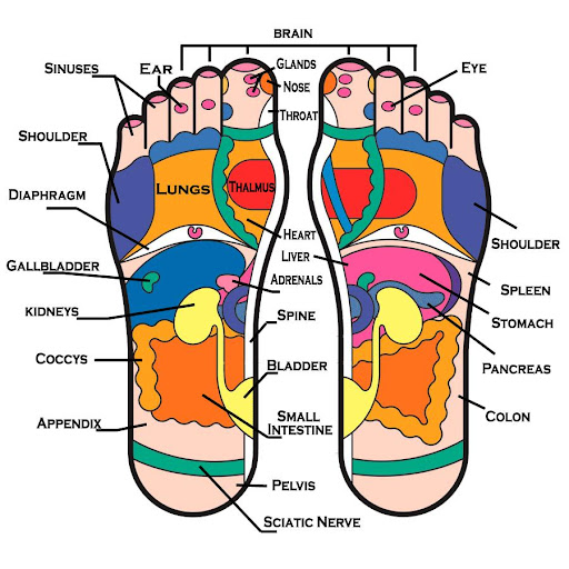 Foot Reflexology