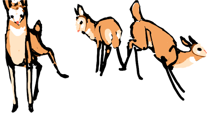 poses