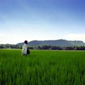 ข่าวเกษตร