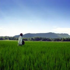 ข่าวเกษตร 1.3