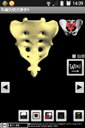 和鍼灸院式骨学R 2D poster 3