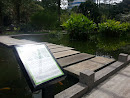 Hort Park Water Garden