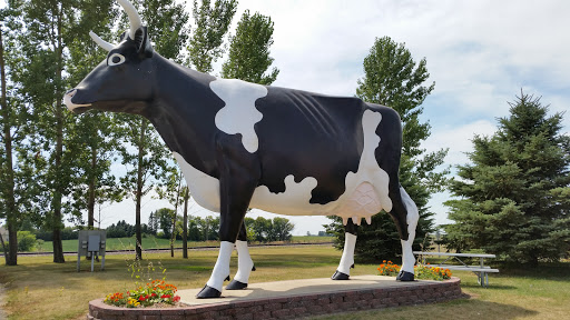 Bongard's Creamery Cow