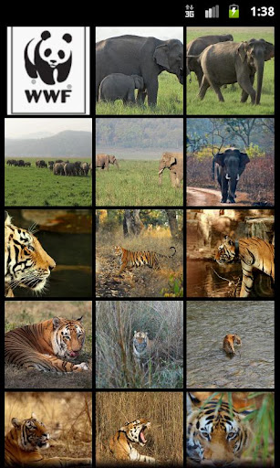 WWF-India Wallpapers plugin