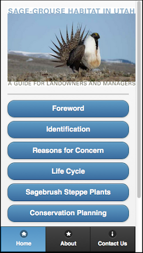 The Sage-Grouse in Utah