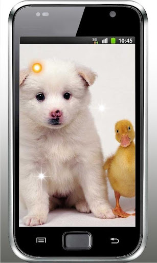 Hello my Puppy Live Wallpaper