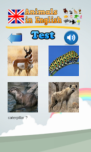 Learn Animal Names in English - Android Apps on Google Play