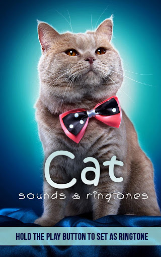 Cat Sounds Ringtones