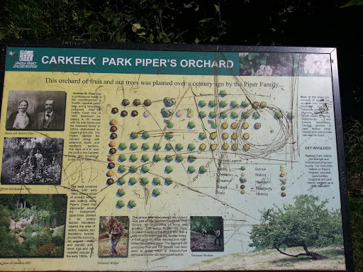 Carkeek Park Historic Pipers Orchard 