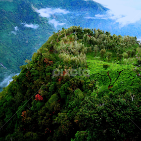 by Deepti Rokade - Landscapes Mountains & Hills