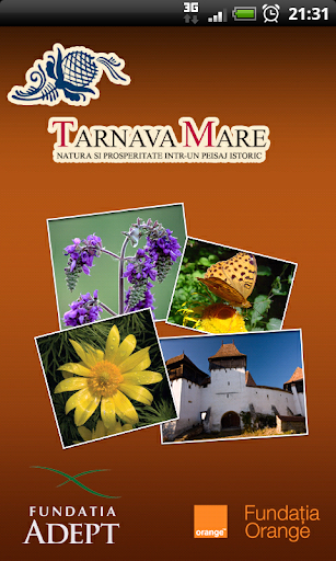 Discover Tarnava Mare