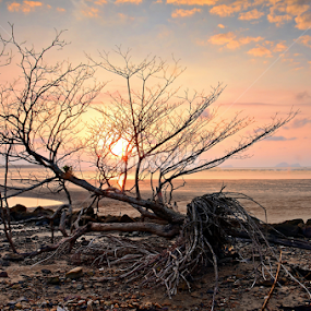 by Sim Sherina - Landscapes Sunsets & Sunrises
