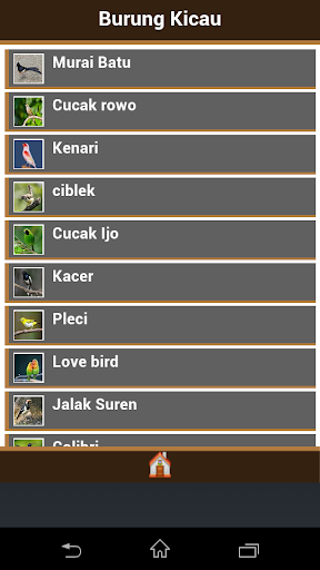 【免費書籍App】Jenis Burung Kicau-APP點子