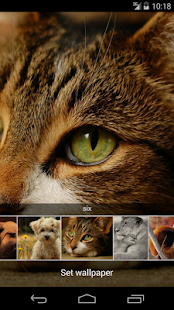 Free Wap wallpapers APK