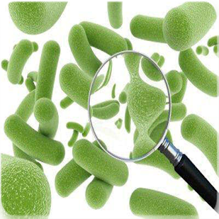 How to download Medizinische Mikrobiologie lastet apk for android