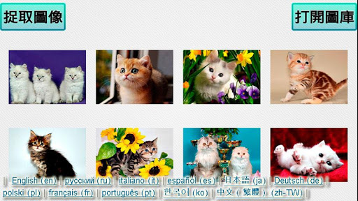 【免費解謎App】猫和小猫拼图-APP點子