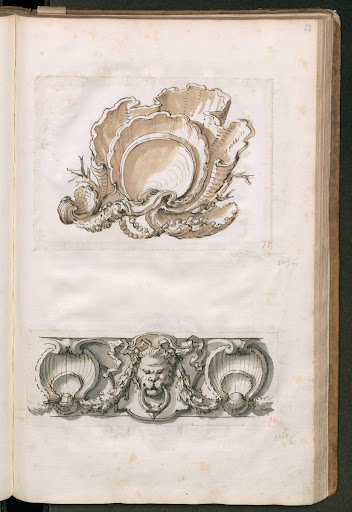 A shell and Model for a cornice