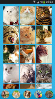 Anteprima screenshot di Animal Wallpapers APK #1