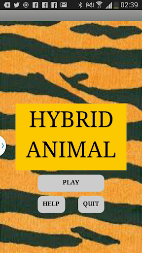 Hybrid Animal
