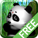 Talking Lily Panda Free icon