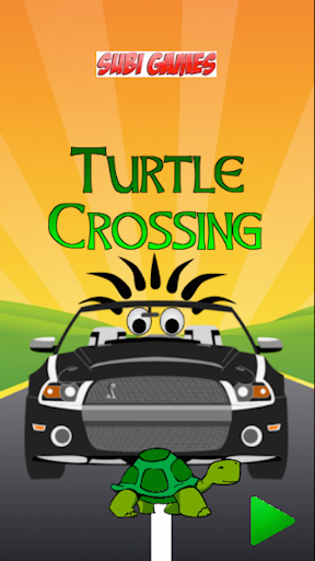 Turtle Crossing