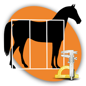 Horse Conformation 2.0.3