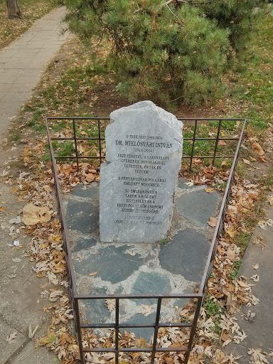 Dr. Miklósvári István Emlékmű