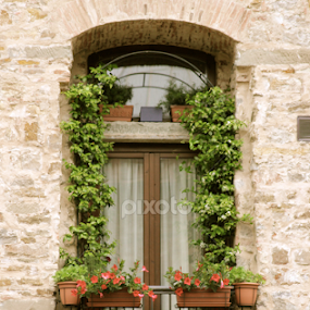 Typical Italia by Nick Schroeder - Buildings & Architecture Other Exteriors