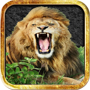 Birds and Animals voices 1.1