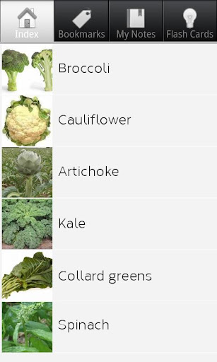Types of Vegetables