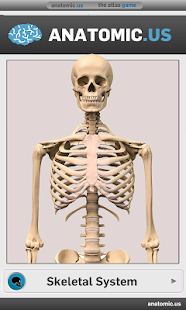 骨骼解剖游戏