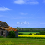 Alberta Summer by E.g. Orren -  