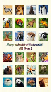 Free Baby Learning Card -Animal Pro APK