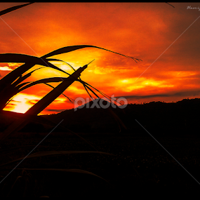 by Hasrijal Hasyiem - Landscapes Sunsets & Sunrises
