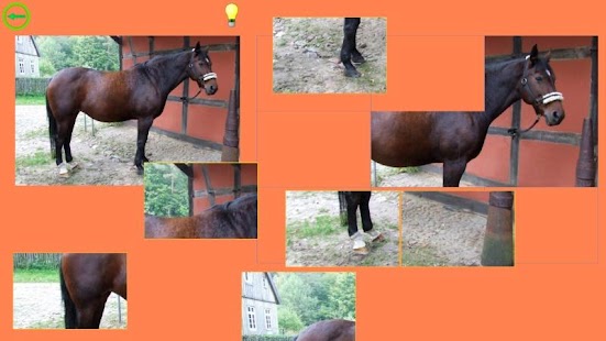 Horse Puzzle For Kids Screenshots 9