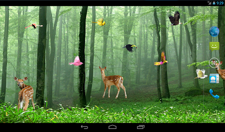 Rain Forest Live Wallpaper 1.08 Apk, Free Personalization Application – APK4Now