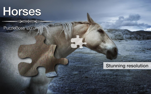 Horse Jigsaw Puzzles Demo