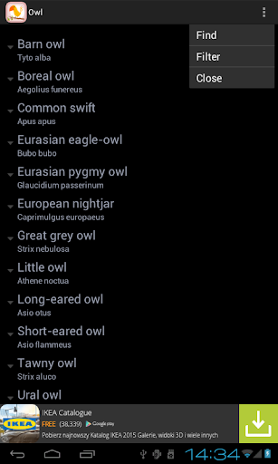 Polish Birds